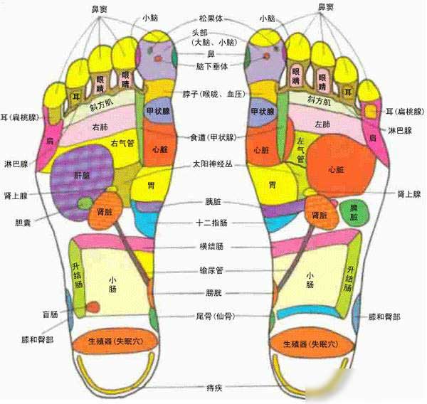 脚底穴位图大全,人体足部高清穴位图解